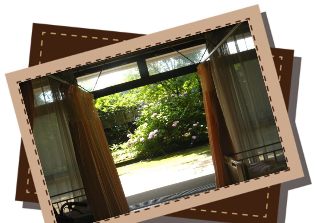 特養内部.pagアジサイ